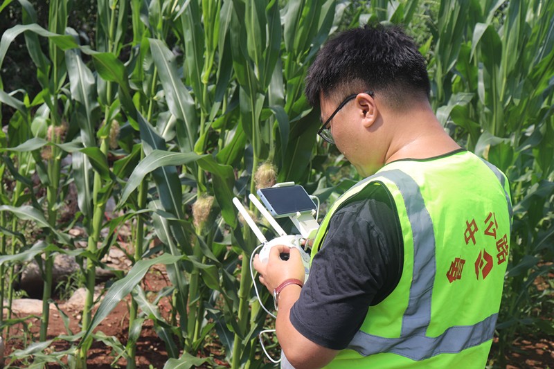 IMG_3701_副本 IMG_3701_副本