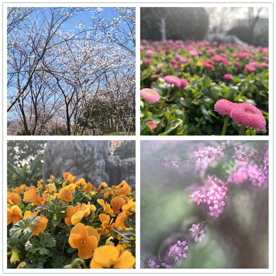 【女神節(jié)專題】一路走來一路拍——于金瀅攝影集之打卡玄武湖、中山陵