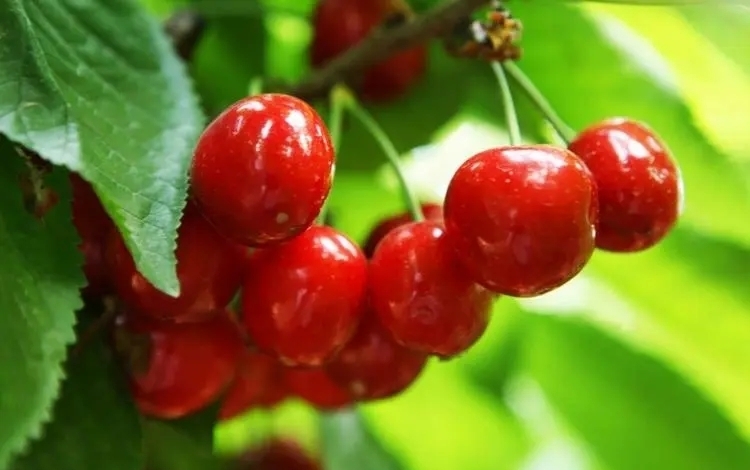 要事優先才能有結果