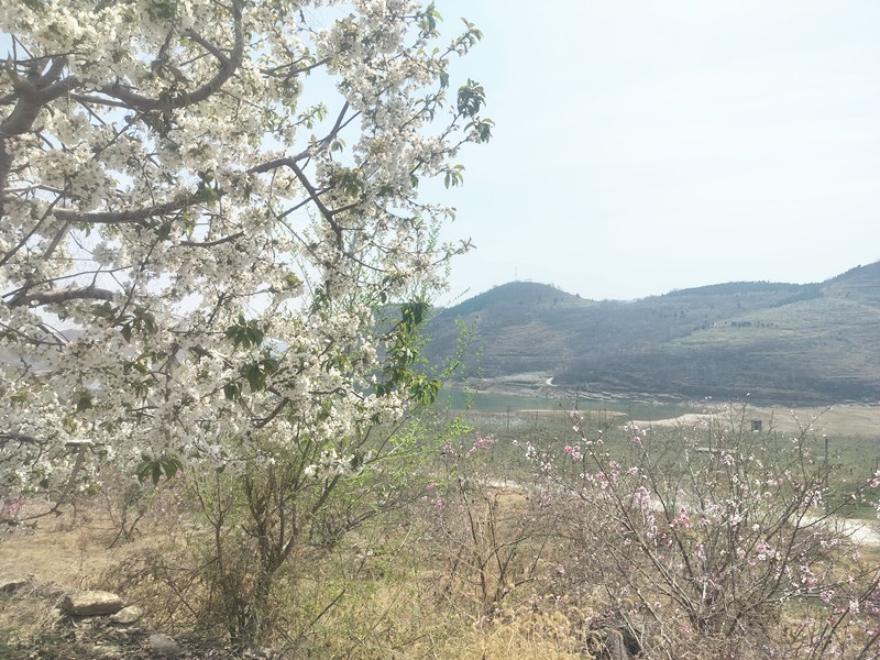 fd006151fddfddb7211ff8a867fcdef_副本 fd006151fddfddb7211ff8a867fcdef_副本