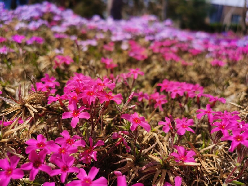 c8ba3789cd461207afee0da656e5fde_副本 c8ba3789cd461207afee0da656e5fde_副本