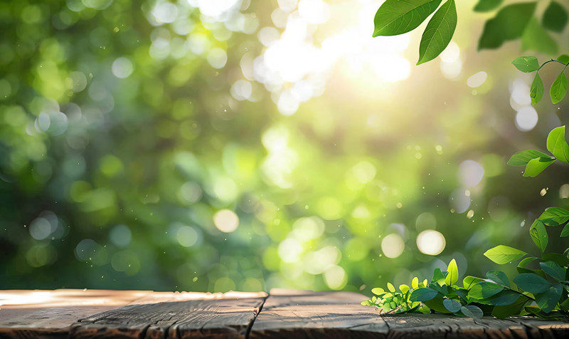 心中有光，皆為福祉