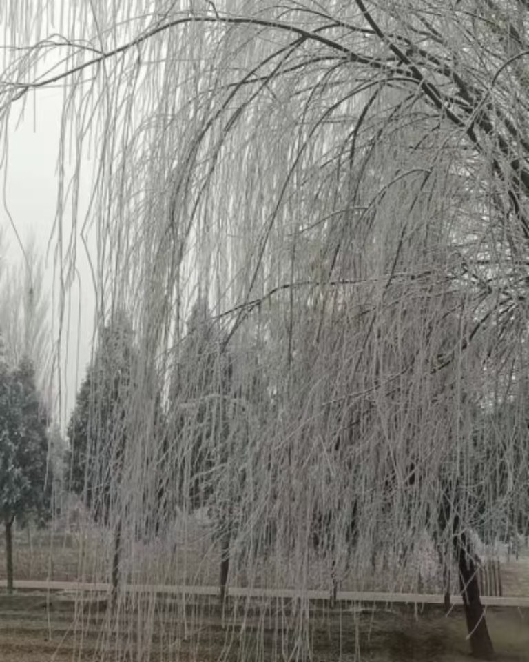 一季之寒，一世之暖