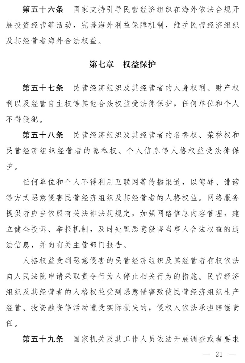 民營經濟促進法(草案)_13