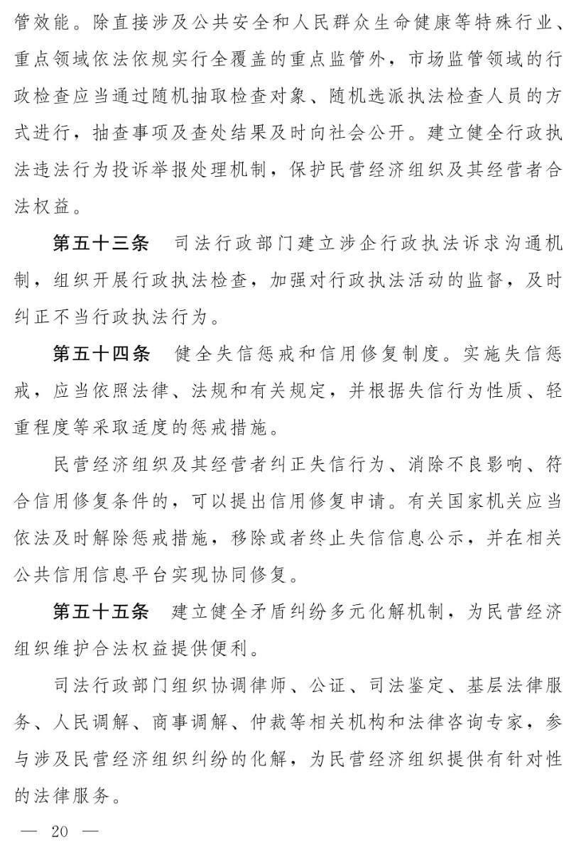 民營經濟促進法(草案)_12