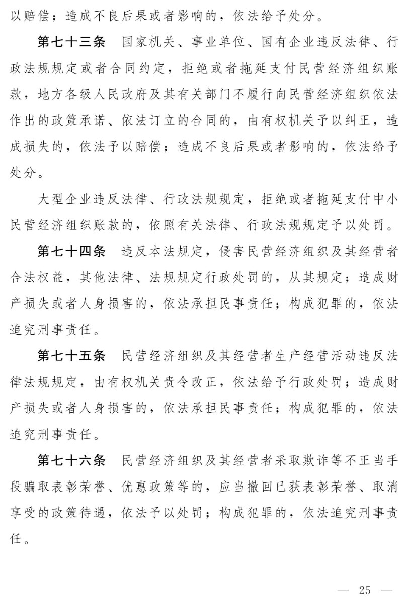 民營經濟促進法(草案)_17