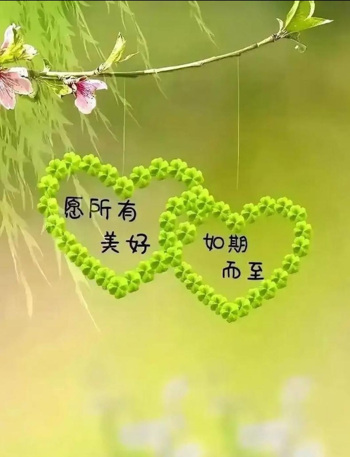 廿載情誼，重逢見暖陽