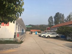 養護分公司博沂路水果之鄉沂源