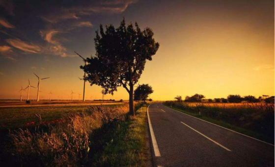 魯中公路我來了