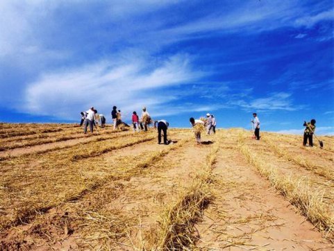 觀《我和我的家鄉》有感