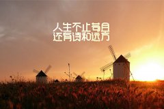 生活不止眼前的茍且