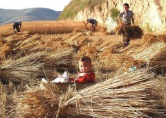 記憶中的麥?zhǔn)? /> 
          </div> 
         </div> 
         <div   id=