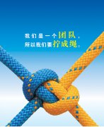 從人力資源部看團結，淺談對團隊的理解