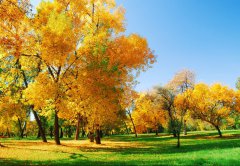 擺正心態(tài)，積極面對(duì)