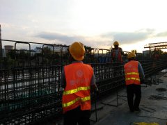 遷徙的候鳥，領略不一樣的風景