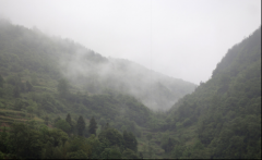 再見(jiàn)，江西！