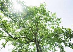 學會放棄，勇于擔當