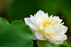 核心價值觀感悟—敬業