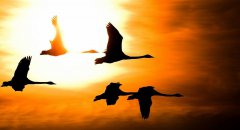 12月，你好！11月，再見！