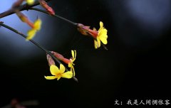 春分將至，我在等你——致徐徐爬行的你