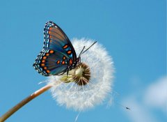 改變，從魯中公路開始