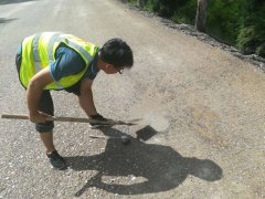 扎根魯中公路，綻放青春風采