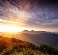 樊籬內外――不變的追求