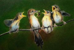 世間最偉大的愛