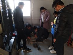 為則通達，學無止境