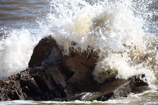長風(fēng)破浪會(huì)有時(shí)，直掛云帆濟(jì)滄海