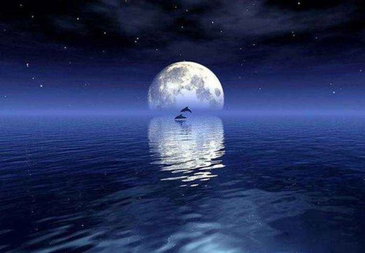 又是一年仲秋節