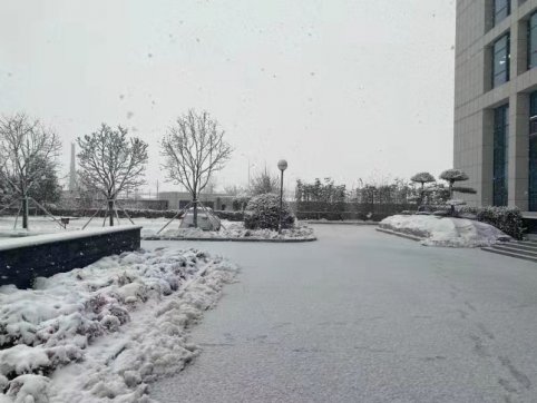 2020年的最后一場雪