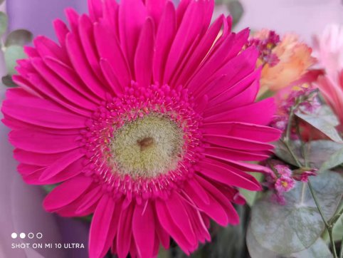 三八節，我們的女神節