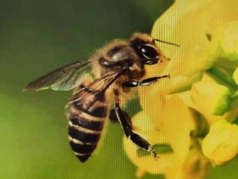 給誰打工？——從“抓作風 創效益”想到的