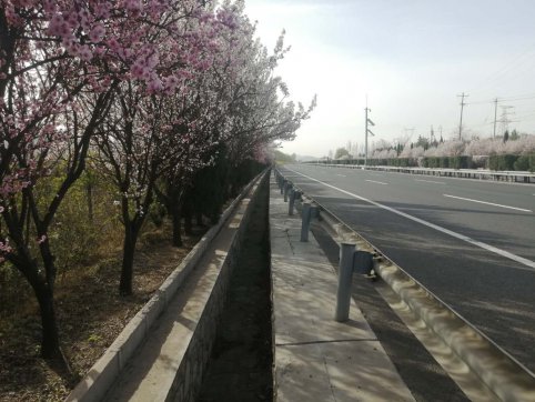 及時(shí)當(dāng)勉勵(lì)，歲月不待人