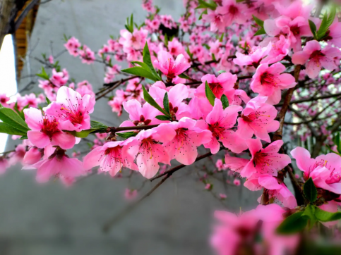 抗擊疫情我們繼續加油